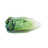 lettuce